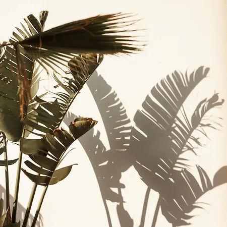 Laguna Coast Resort, Small Luxury Of The World Hotel Stelida (Naxos)