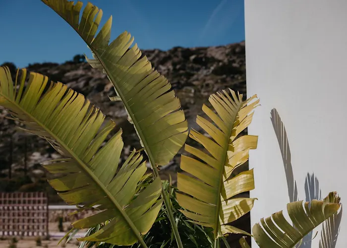 Laguna Coast Resort, Small Luxury Of The World Отель