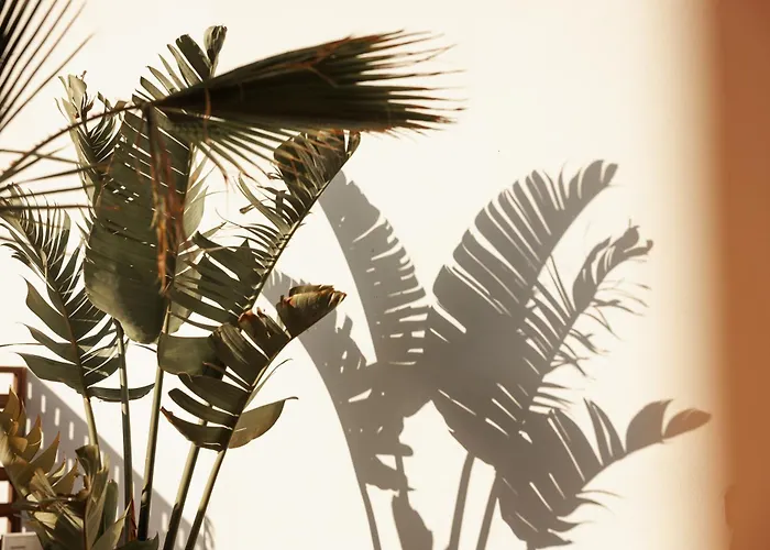 Laguna Coast Resort, Small Luxury Of The World Отель Стелида